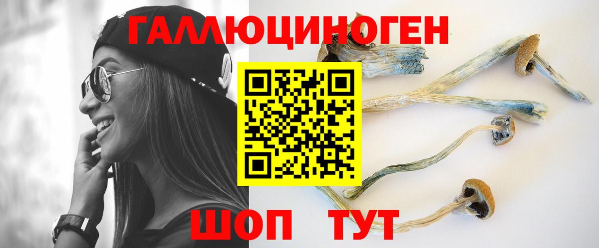 Псилоцибиновые грибы Magic Shrooms Ангарск